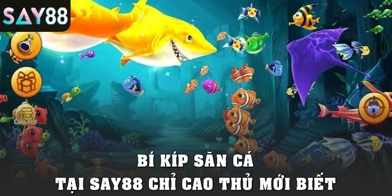 Bí kíp săn cá tại SAY88 chỉ cao thủ mới biết