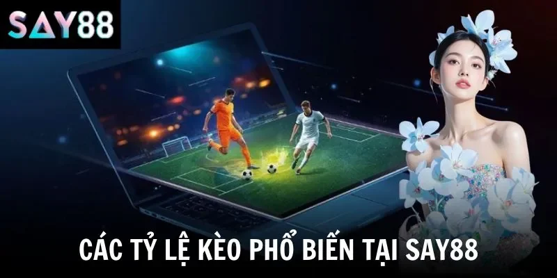 Các tỷ lệ kèo phổ biến tại say88